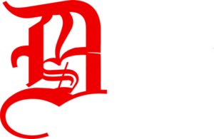 d2s-fest-logo-flat